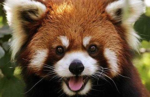 jibunchan_bot Profile Picture