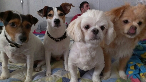 tiffernickle's profile picture. thank you too the ones in my life and making me happy...love ya