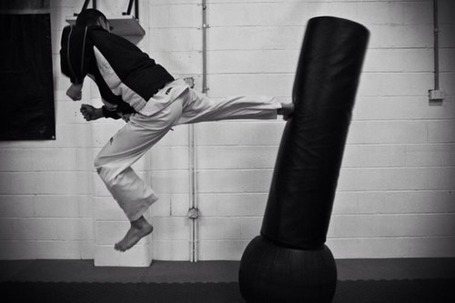 taekwondo and pokemanz