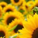 Laura Woolston - @LalaLearningASD - Twitter