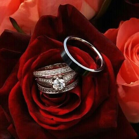 mmbr33331's profile picture. أنثى بسيطه عاشقه ولست بعاشقه أحب الحب لأجل الحب