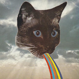 Tahlism's profile picture. NEW TWITTER @LEGENDARYTRV I FOLLOW BACK, GO DO IT