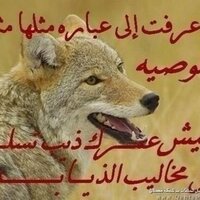 نـــا(ابوعبدالله)صر (@pnsh1234g) 's Twitter Profile