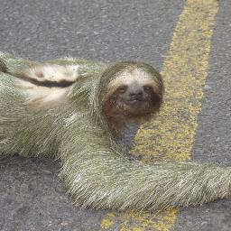 ButtholeBleedin's profile picture. I bleed mass amounts of blood from my butthole