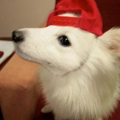 小島和也 Cranekaz Twitter