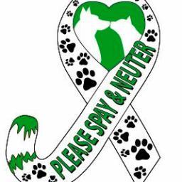🐱🐈🐕🐶🐩Please spay and neuter