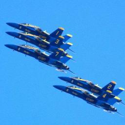 bigaland01's profile picture. 