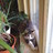 rebe1130's profile image