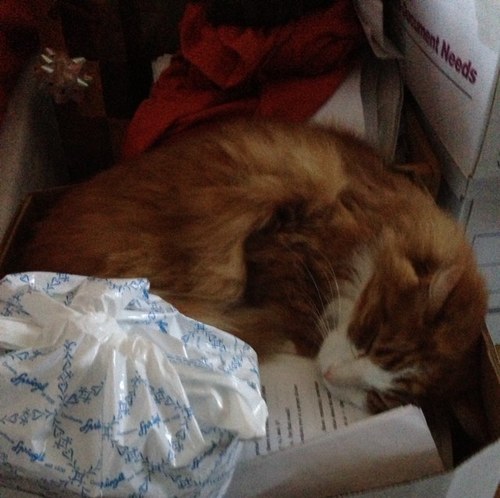 YektaYazar's profile picture. 