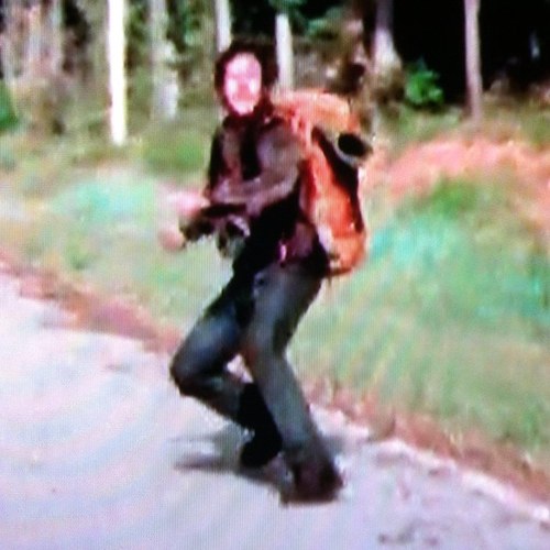 All Rick, Michonne and Carl had to do was give me a ride, but noooooo. #TheWalkingDead