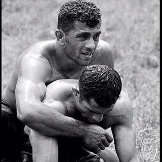 Boxing. Wrestling. MMA. Rugby.
