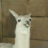 hola ke ase oque ase