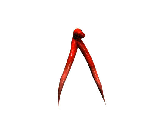 Amigable