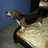 ricardomarrero's profile image