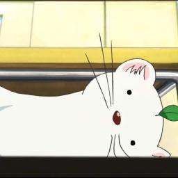 pinakbetta's profile picture. Hi. I'm Maggie and I have way too many accounts here because https://t.co/lbSGHca0qT