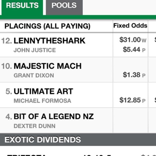 Chisley's profile picture. Passionate harness racing tragic.And totally biased owner of Lennytheshark!