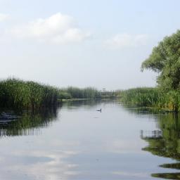 NipoteDellAbate's profile picture. La vostra condotta sia senza avarizia, accontentatevi di quello che avete.