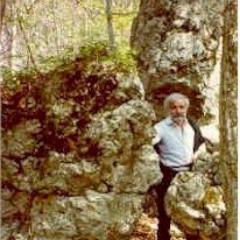 ipiutti's profile picture. 