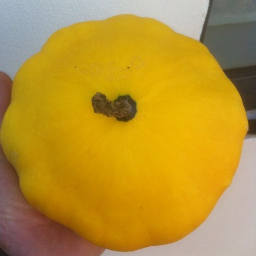 Surfer, surfboard builder, squash grower