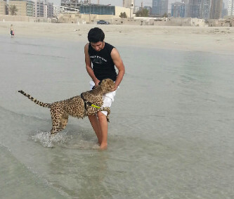 Zgrt_shj's profile picture. 