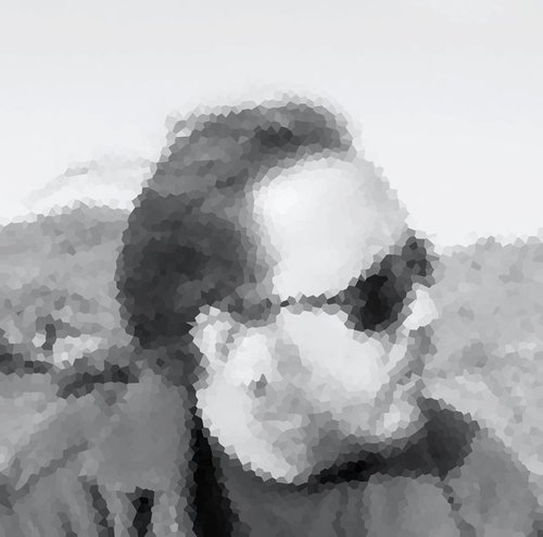 Buscando...encontrando...perdiendo