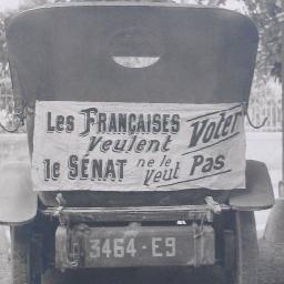 Historienne - spécialiste de l'égalité politique et professionnelle femmes-hommes.