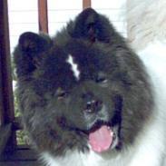 mikey94025's profile picture. I'm probably sleeping, or sleepy, or wishing for a nap