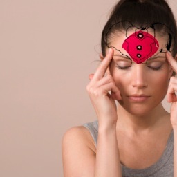 knibnu's profile picture. KNIBNU - adgang til 21 gratis knibeøvelser.  
- Tjek knibnu og hjælp dig selv
- Bliv knibeaktivist og gør bevægelsen meget større