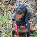 Terri Willis - @terridwillis - Twitter