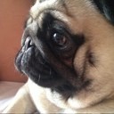 Scarlet Fleming - @ScarletFleming - Twitter