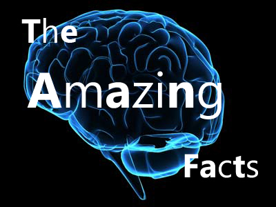 #1 Source for Tips & Facts about life #FollowMe