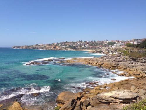 rossco_110's profile picture. 