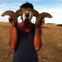Brendan (@brendanhayeso) 's Twitter Profile