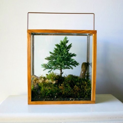 rossiaeto's profile picture. 