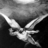yg1v2's profile image
