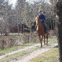 shrini46's profile picture. Nature Studies;Equitation;Horse Whisperer;History; Afghanistan;Comparative Religion;Numismatics; Golf. Earlier:Public Administration.