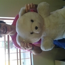 Jean rohr - @JeanRohr - Twitter