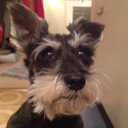 dendawson79's profile picture. 