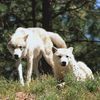 О, этот момент, когда смотришь на человека, и он резко посмотрел на тебя.