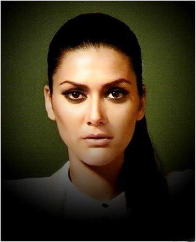 Bergie259's profile picture. 