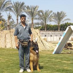 انا الكابتن عبد الكريم مدرب كلاب الحمد لله فاهم فى شوغلى مش حافظ ودة رقم تليفونى 01003634376