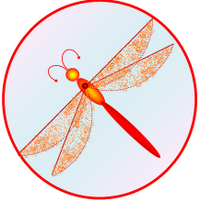 RedDragonfly Theatre (@rdprod_theatre) 's Twitter Profile Photo RedDragonfly Theatre (@rdprod_theatre) 's Twitter Profile Photo