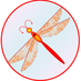 RedDragonfly Theatre (@rdprod_theatre) Twitter profile photo RedDragonfly Theatre (@rdprod_theatre) Twitter profile photo