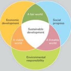 Social & Development log of Pakistan (SDLP) is an attempt to highlights real public issues, which include poverty, unemployment, illiteracy & terrorism etc