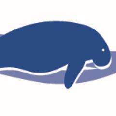DiveDugong's profile picture. 