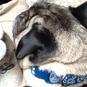 Tina hogan - @erinamy_tina - Twitter