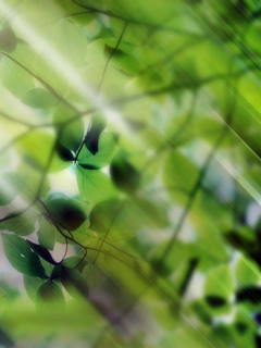 LanaAstahova's profile picture. Семечки – это не только 1 кг шелухи, но и целый час женского молчания.