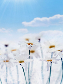 TanyaVorobushek's profile picture. От судьбы не уйдешь, а если ушел – значит, не судьба.