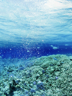 tati3717's profile picture. Женская дружба – это когда две женщины завидуют друг другу молча.