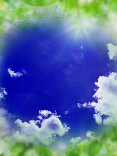 TanyaFray's profile picture. Труд сделал из обезьяны человека, а из человека делает инвалида.